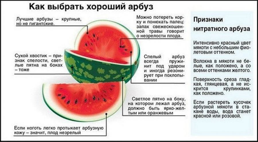 Как выбрать арбуз