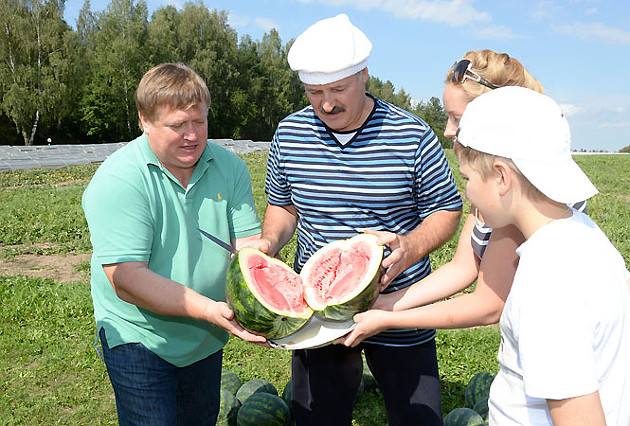 арбуз в беларуси