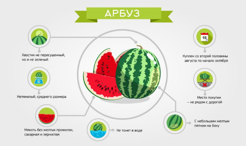 По каким признакам определить спелость арбуза