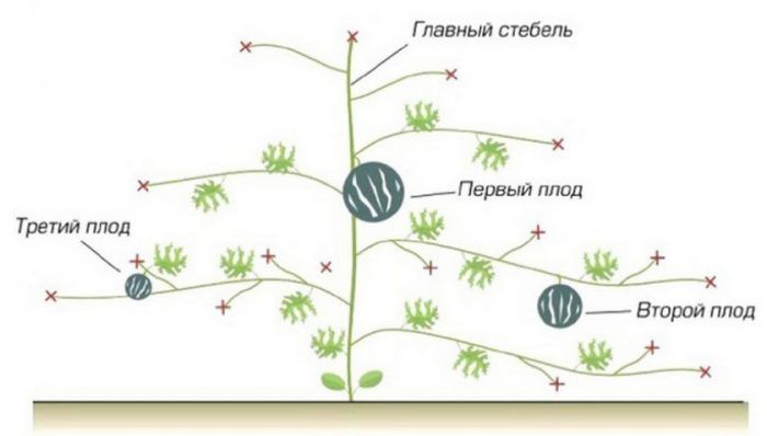 Обучение кафедр