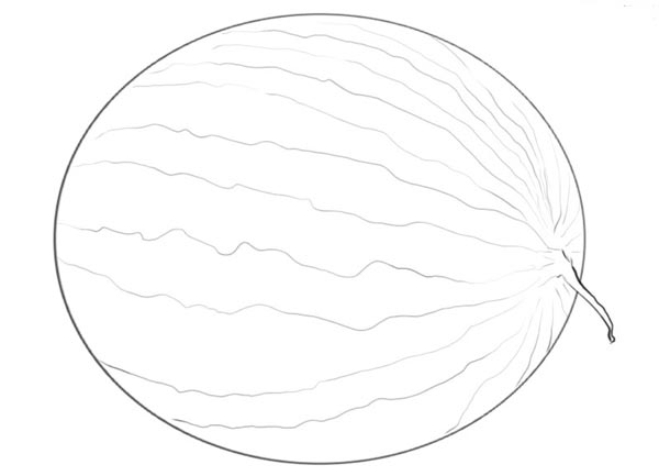 Как нарисовать реалистичный арбуз шаг 4
