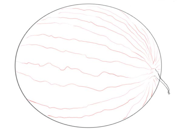 Как нарисовать реалистичный арбуз шаг 3